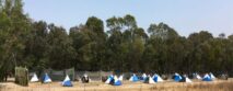 AMERICAN CANYON PAINTBALL JUNGLE in San Francisco