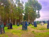 AMERICAN CANYON PAINTBALL JUNGLE in San Francisco
