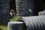 Fox Paintball