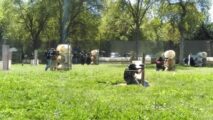 Paintball arena Shooters All-Season Paintball in Sacramento