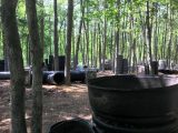 Paintball arena QuickShot Paintball & Airsoft in Philadelphia