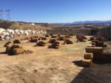 Airsoft arena Warped Paintball Park in Los Angeles
