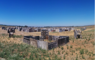 Paintball arena Davis Paintball in Sacramento