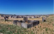 Paintball arena Davis Paintball in Sacramento