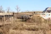 Black Ops Airsoft