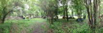 RHC Paintball Fields