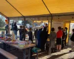 IMPACT ACTION SPORTS in Seattle