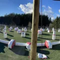 IMPACT ACTION SPORTS in Seattle