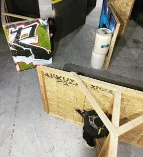 Project N1
