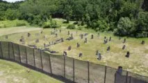 Paintball arena Classic Paintball Pro Shop and Field in Atlanta