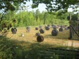 Paintball arena Cliff Edge Paintball in Indianapolis