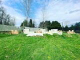DoodleBug Sportz Outdoor, Snohomish