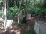Monkey Time Paintball and Airsoft Outdoor, Arlington
