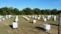 Paintball arena Epic Paintball Park in Oklahoma City