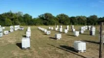 Paintball arena Epic Paintball Park in Oklahoma City