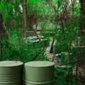 Survival Game of Texas Outdoor, Houston