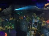 Laser tag arena Lake Wylie Bowl N' Bounce in Charlotte, NC