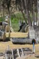 Paintball arena Velocity Paintball Park in San Diego, CA