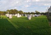 Paintball arena Choctaw Paintball Club in Oklahoma City