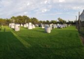 Paintball arena Choctaw Paintball Club in Oklahoma City
