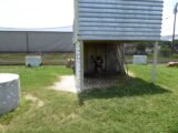 Paintball arena Nashville Paintball in Nashville