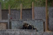 Airsoft arena T1 Airsoft in Oklahoma City