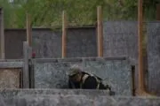 Airsoft arena T1 Airsoft in Oklahoma City