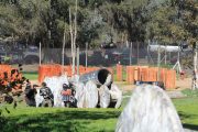 Paintball arena Velocity Paintball Park in San Diego, CA