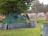 Paintball arena N-tense Sports in Nashville, TN