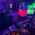 Action Jacks Family Fun & Entertainment in Conway, Arkansas| Battleonix