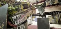 American Paintball Coliseum - Colorado Springs in Colorado Springs, Colorado| Battleonix