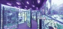 Laser Tag arena 