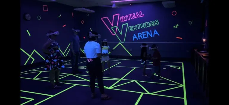 Virtual Ventures