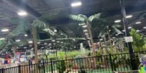 Malibu Jack's Lafayette in Lafayette, Indiana| Battleonix