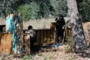 Ares Battlefield in San Antonio, Texas, USA| Battleonix