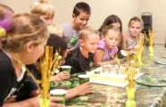 Battle House Laser Tag in Plano, Texas| Battleonix