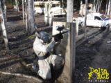 Delta Force Vancouver paintball in Maple Ridge, BC.