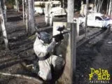 Delta Force Vancouver paintball in Maple Ridge, BC.