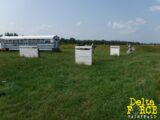 Delta Force Toronto paintball in Barrie, ON.