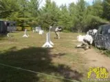 Delta Force paintball field in Ottawa, ON