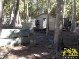 Delta Force paintball field in Ottawa, ON