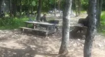 Cousins Paintball Staten Island in Staten Island, New York| Battleonix