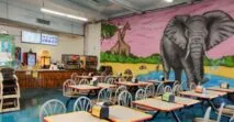 Party Jungle in Phoenix, Arizona| Battleonix