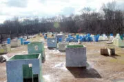Long Live Paintball in Monroe Township, New Jersey| Battleonix