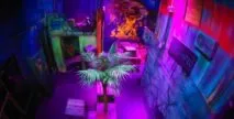 Bravoz Entertainment Center in Jacksonville, Florida| Battleonix