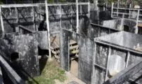 Fun On The Run Paintball in Fort Worth, Texas, USA| Battleonix