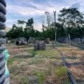 Route 40 Paintball Park in White Marsh, Maryland| Battleonix