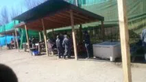 Millionaire Paintball in Abbotsford, British Columbia, Canada| Battleonix