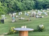Paintball Sportsland in Frederick, Maryland| Battleonix