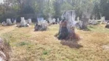 Pev's Paintball & Airsoft Park in Aldie, Virginia| Battleonix